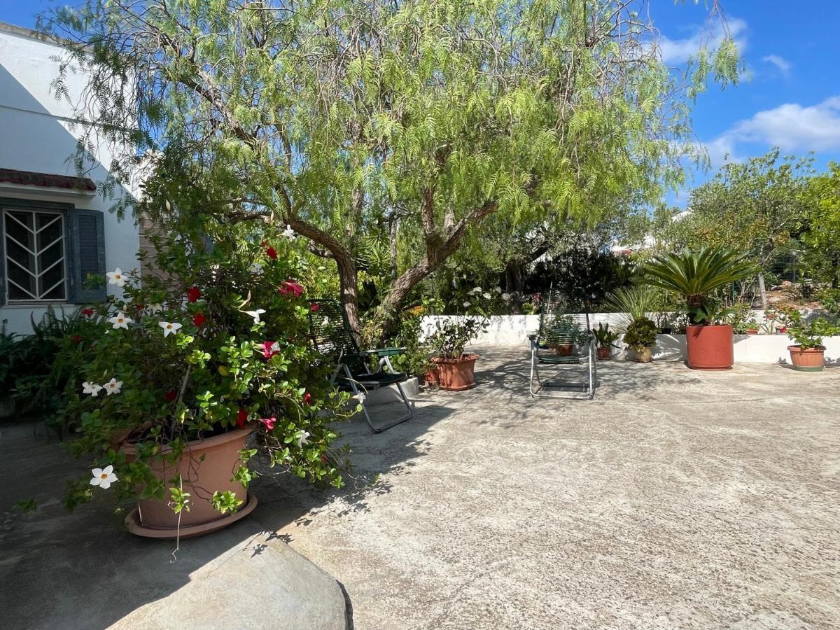 Villa Gioia Ostuni Dış mekan fotoğraf