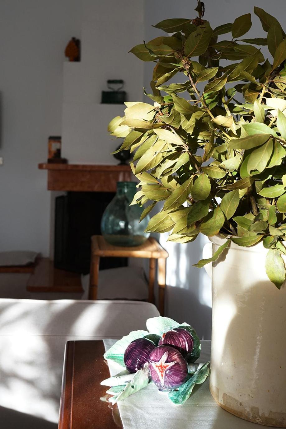 Villa Gioia Ostuni Dış mekan fotoğraf